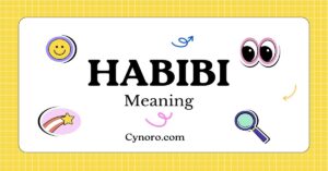 Discovering The Fascinating World Of Habibi Cynoro Habibi 300x157
