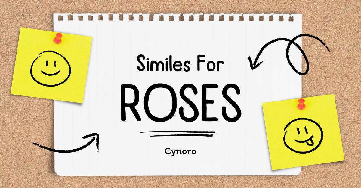 Similes for Roses